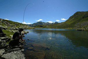 Vissen Andorra 